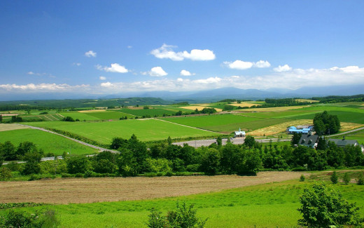452905 (a): :1440x900